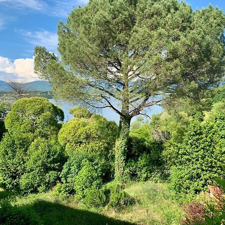 باربيرينو دي موجيلو Villa Del Lago المظهر الخارجي الصورة