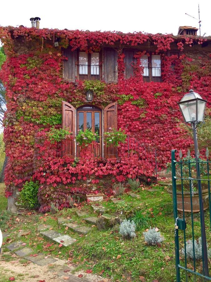 باربيرينو دي موجيلو Villa Del Lago المظهر الخارجي الصورة
