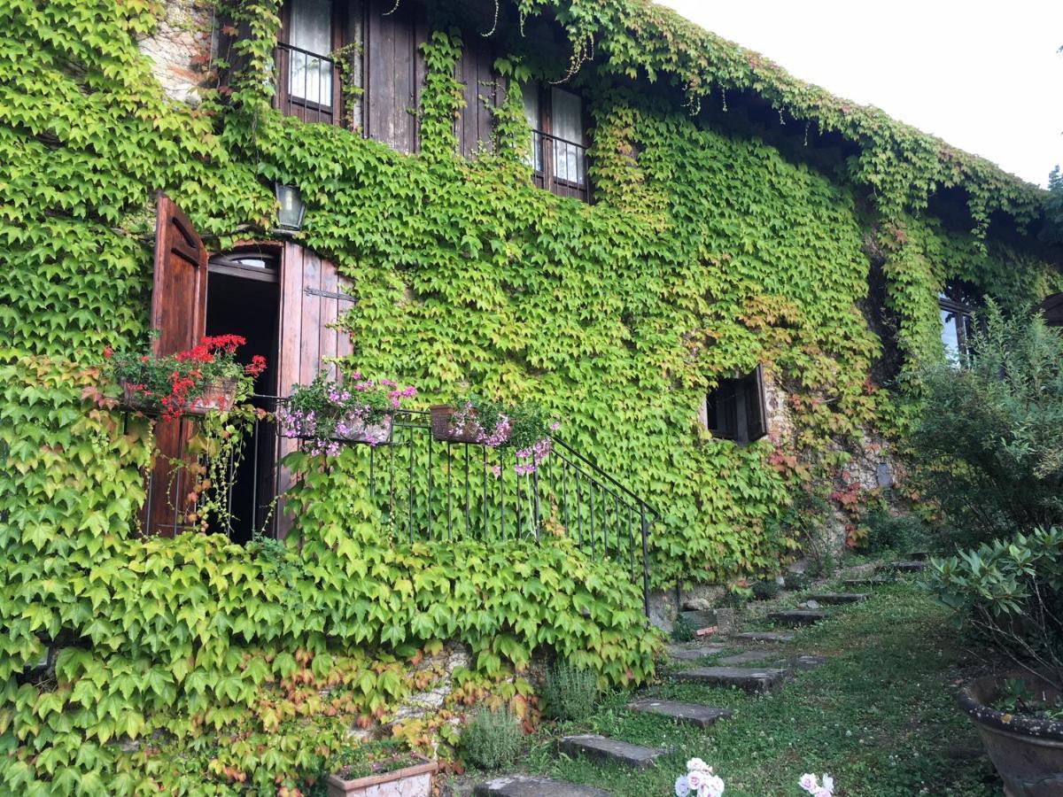 باربيرينو دي موجيلو Villa Del Lago المظهر الخارجي الصورة